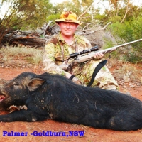 Palmer 1